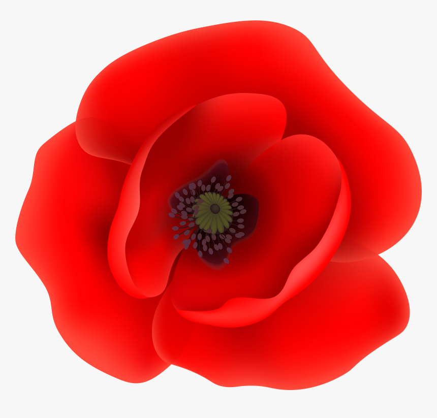 569 5699665 free poppy flower clipart jpg library download poppy