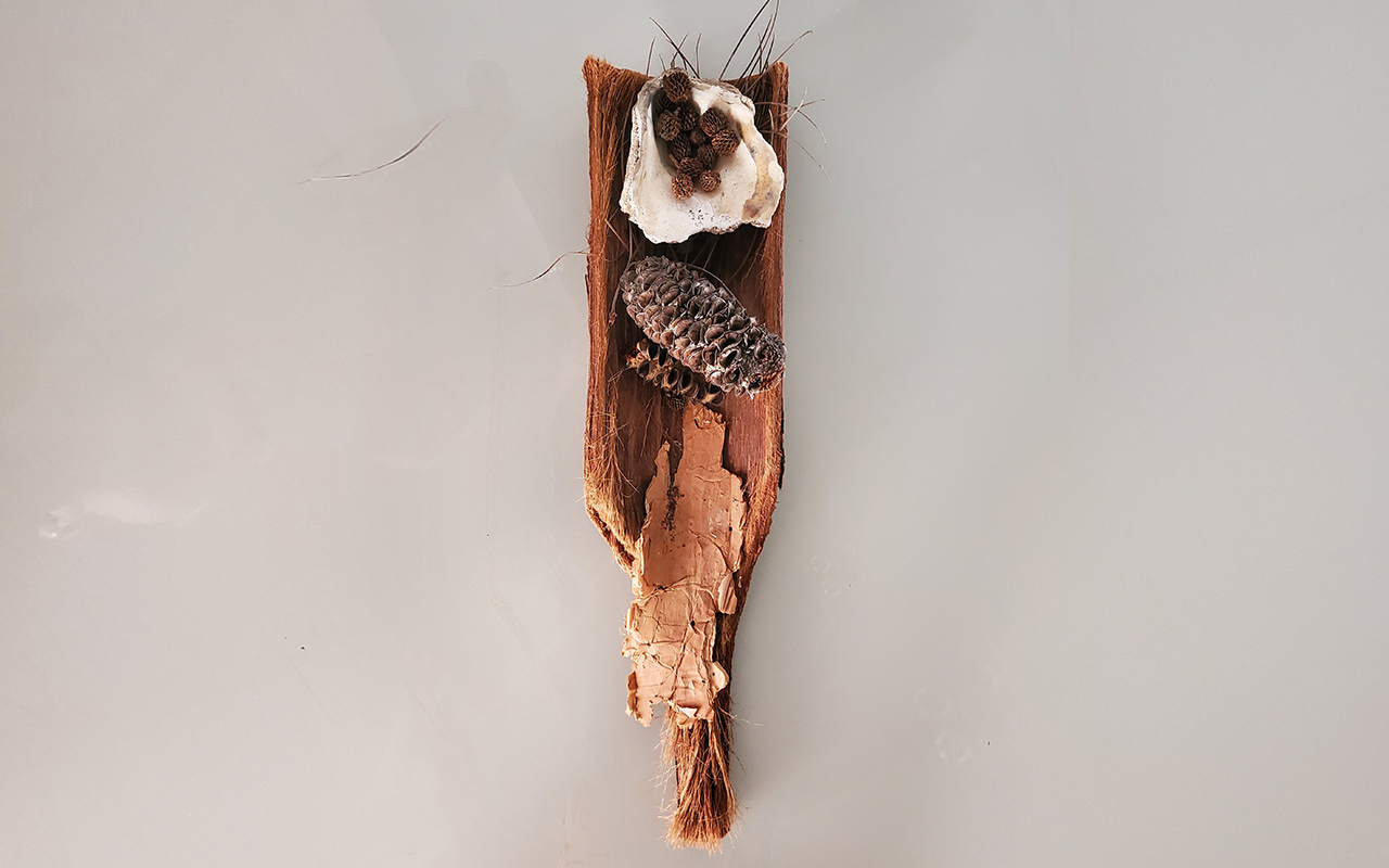Warrane gadigal 01